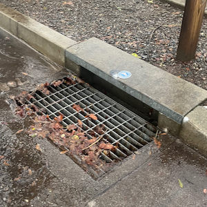 Storm drain 4.jpg