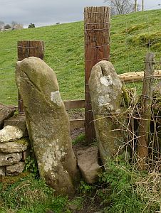 Stone squeezer wooden stepover.jpg