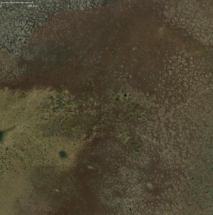 Somalia wetland.png