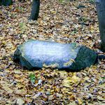 marked stone