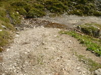 Mountain-track4.jpg