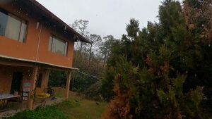 kaaphalhill_homestay