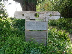 Unusual Stocks in the sign. robbieonsea