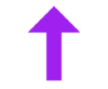 Belgium walkingroutesarrow purple.png