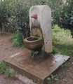 Roman wolf fountain.JPG Item:Q19875