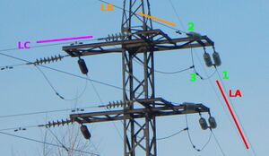 Powerline branch 1.jpg