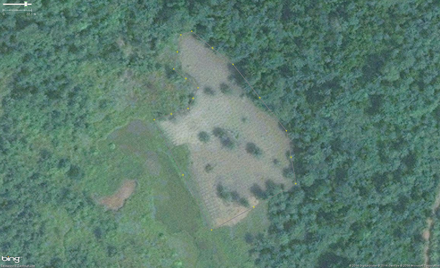 An example of cassava, also known as manioc, cultivation in West Africa. The main identifying feature are the collection of rounded shapes of 1 to 1.5 meters across arranged tightly but irregularly. Green areas are new and growing plants and brown areas are harvested.