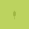 Barley rendering.svg