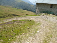 Mountain-track2.jpg