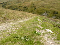 Mountain-track3.jpg