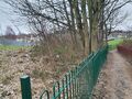 Suburban scrub, wood and mown grass, looking East