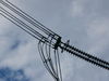 JP Power Wires Hex.JPG