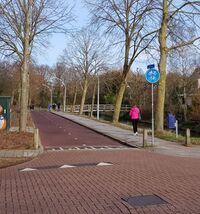 Cycleway with sidewalk.jpg