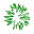 Larch leaf-1024px.svg