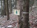 Another compartment boundary: the sign indicated that it is the boundary of the #6 compartment of the Forêt communale de Denipaire. Once more, the painted dash indicates the boundary.