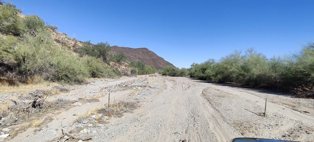 A photo of a wadi in Arizona with scrub