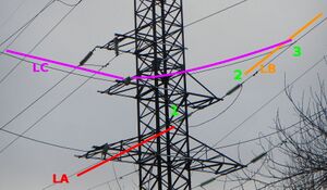 Powerline branch 2.jpg