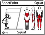 Squat-pictogram.jpg