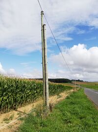 Power pole wood twinned.jpg