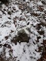 A boundary stone at a compartment tripoint: the three boundaries are indicated with paint.