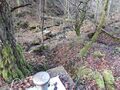 Partie de champ captant en forêt