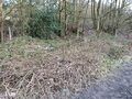 Trees and brambles currently mapped as wood and scrub