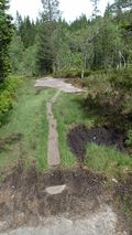 Narrow boardwalk.jpg