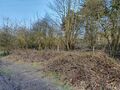 Brambles and scrubby trees (trees (over the fence) unmapped but should probably be scrub)