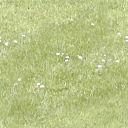 IR99C1GrassSpring0001.jpg