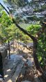 Handrails on a Korean hiking trail