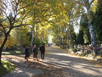 Highway=pedestrian on cemetery.JPG