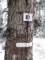 Compartment in a forêt domaniale. The sign gives the name of the forest and the compartment ref. The white paint mark is regularly painted along compartment borders to materialize it.