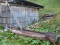 Wooden trough fed by water from the rain gutter.