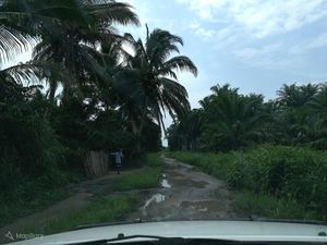 Secondary drc mapillary.jpg